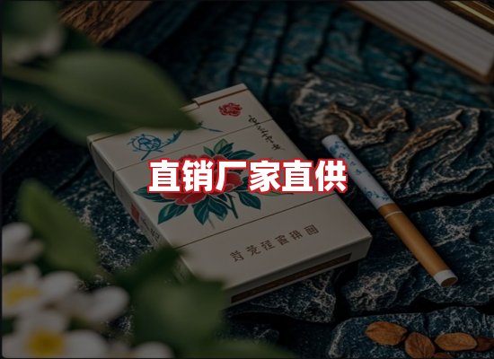 专业团队